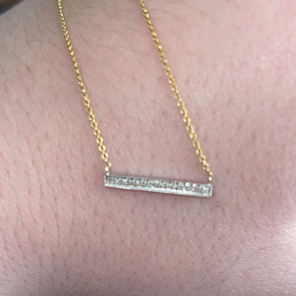 Dana Rebecca Sylvie Rose Medium Bar Necklace